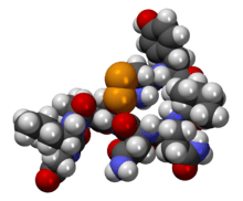 The image above is what the ‘love’ molecule, oxytocin looks like. We all want it, we all need it and we can never have enough of it. As valentine day is approaching I would like to share with you some insights into this most wonderful hormone. In the early 20th century oxytocin was attributed to only uterine contractions that initiates and aids child birth and also to lactation (letdown relex) by encouraging the flow of milk through the breast. This is all very nice and interesting but did you know that in order to get to that stage of labour and lactation oxytocin plays a very important role in social engagement which is a perquisite to the above mentioned. It has now been shown that this love hormone has a very strong social and psychological effect as well as a physical one. One of the strongest effects it has is on bonding, this may be between a young mum and her newly born child but also to a partner. There is some evidence pointing to children who have not had the opportunity to bond at a young age may lead to difficulties with relationships as a result of low level of oxytocin. Some interesting research is now taking place recognizing the impact oxytocin has on social engagement. As a result, research is looking at the improvement in social interactions amongst autistic children who are given Oxytocin. With valentine day ahead it is important to note that oxytocin does promote sexual arousal however more importantly, .. Oxytocin increases in the blood when hugging and cuddling. It has also been shown to reduce stress and as a result improve your sleep pattern. So to get the best boost in oxytocin levels spend some time listening to your partner in an engaging manner. Try reading their mind and think about what they aren’t saying as well what they are voicing, go to bed together spend some time cuddling and bonding and bathe in the sense of belonging. Get plenty of cuddles with anyone you can (socially permitting). Research shows that a cuddle of 20 seconds duration raised levels of oxytocin in the blood. Some good news for those who don’t like to be touched for too long, similar levels of oxytocin were detected after 9 seconds only. I do not recommend counting the seconds aloud as I’m sure that will reduce the sense of trust, love and a sense of belonging. Have a lovely valentine’s day…. Love is in the air..