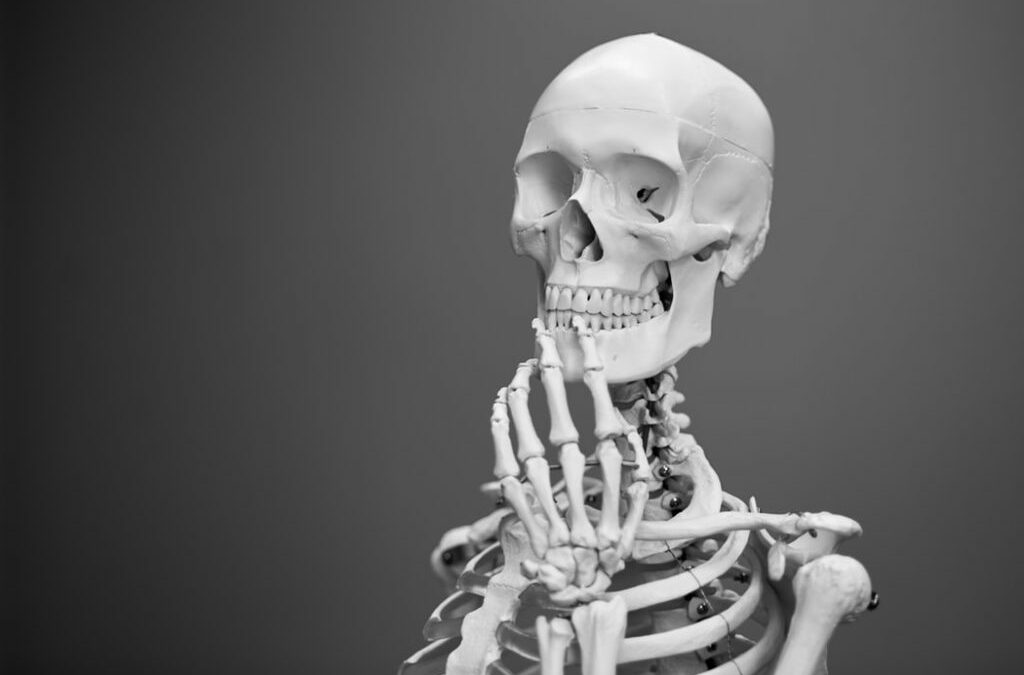 Skeleton stages from childhood to adulthood