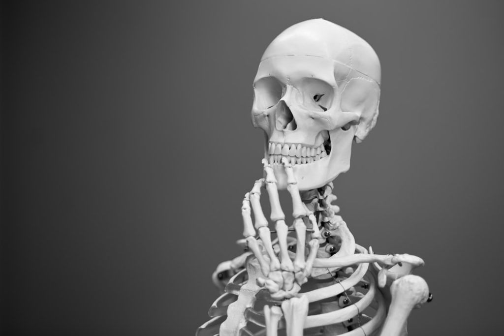 skeleton 1024x683 1