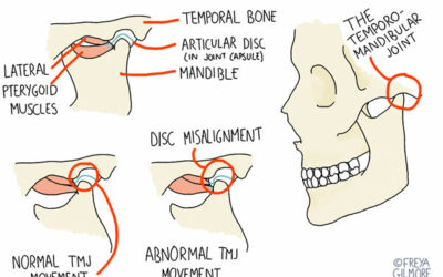 What is the TMJ?