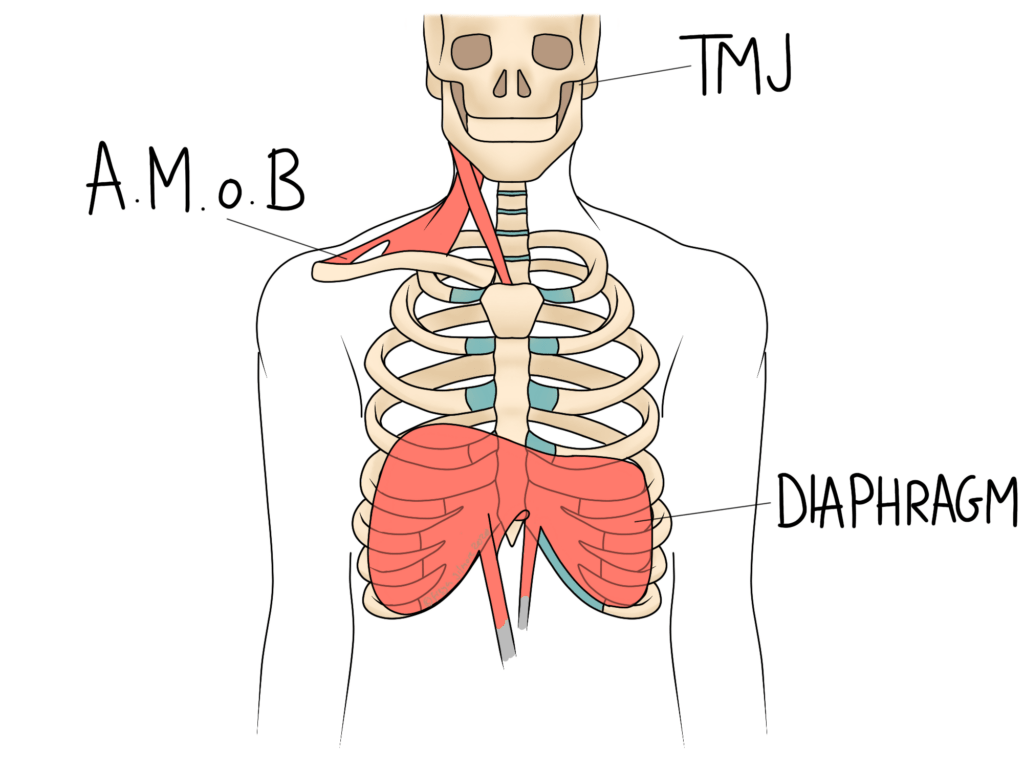 Stress and breathing